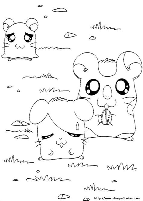 We did not find results for: Disegni de Hamtaro
