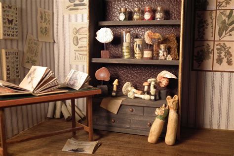Cabinet de curiosités | Dollhouse cabinet, Cabinet of curiosities, Cabinet