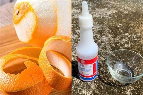 Maybe you would like to learn more about one of these? Coba Campurkan Kulit Jeruk Dengan Cuka, Manfaatnya Luar ...