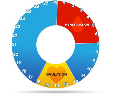 Jika cirinya adalah ciri darah haid, maka itu darah haid dengan catatan keluar minimal selama sehari. Darah Haid Lebih 15 Hari - Baca Apa Sis Ni Buat Untuk Haid ...