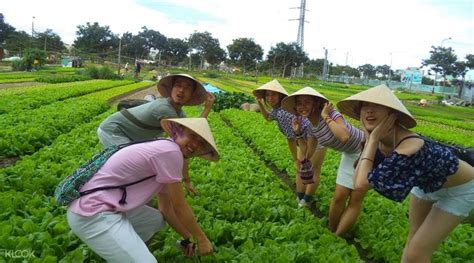 Ai ở đà nẵng đều không thể không biết lý cát trọng lý. Da Nang Home Cooking Class