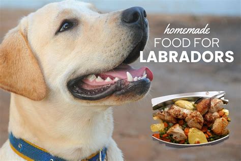 I made my diabetic dog this homemade recipe from 2008 to 2016. Home Cooked Recipes For Dogs With Diabetes - 10 Must Dos ...