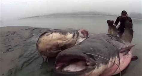 Scary paranormal activity caught on. The Most Shocking Moments Caught on Camera While Fishing