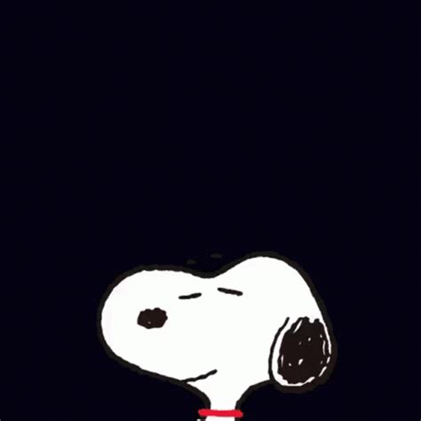 25 50 75 100 1000. geburtstagswünsche lustig gif in 2020 | Snoopy liebe ...