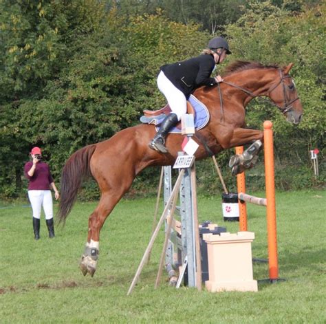 La fille passionnée organise des triplettes avec ses amis. Photos de chevaux