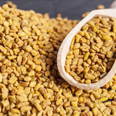 Ultimate effects, benefits, virtues the seed of fenugreek is also the great friend of the lactating women, plant galactogène by excellence, which. Fenugreek Production Guide - The Spice Series Fenugreek And Mustard Seeds Borough Market ...