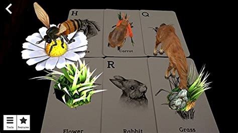 Place the animal 4d+ card on a surface and scan with your device's camera. Animal 4D and Food 4D Flashcards- Buy Online in United ...