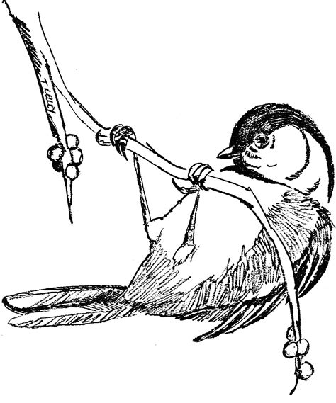 Push pack to pdf button and download pdf coloring book for free. File:Black-capped Chickadee drawing.jpg - Wikimedia Commons