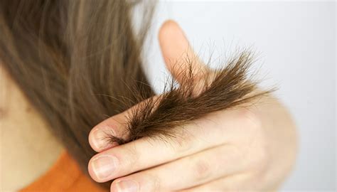 Trim off the split ends that are. What causes dead ends in hair? 7 Main Reasons