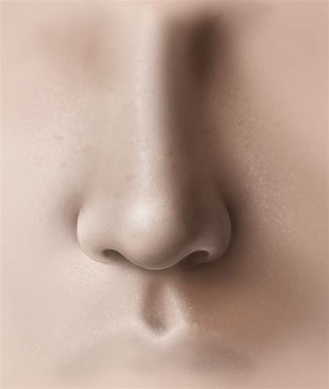 The human nose structure and function is of special interest for the biology students. Facial injuries - Clinical aspects - Nose - International ...