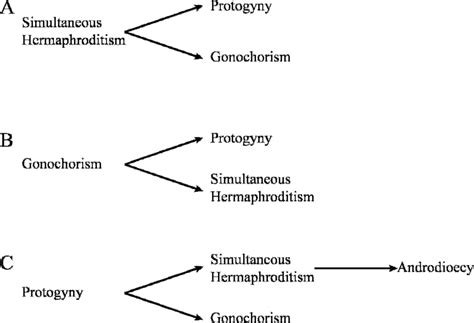 Sexual transmission of hepatitis c. Proposed evolutionary transitions between sexual patterns ...