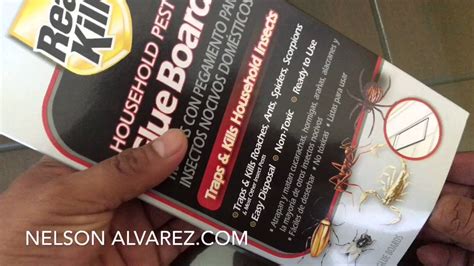 Use professional grade roach control products to get rid of an infestation. Comprando un mata mosca en Home Depot - YouTube