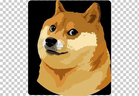 Online, video, article, discuss, story, explanation, suggestion, youtube. Dogecoin Dog Breed - Gbtc Dogecoin Sees 125 Increase In ...