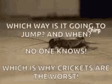 This gif by giphy studios originals has everything: Crickets Chirping GIFs | Tenor
