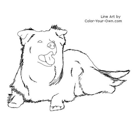 The image will give you a clear view of the front legs and the left hind leg. Border Collie Dog Laying Down Coloring Page