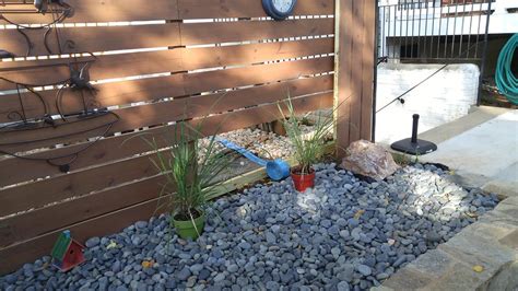 Rendered retaining walls provide an opportunity for planting within the pool area. Hiding Pool Equipment Need Suggestions