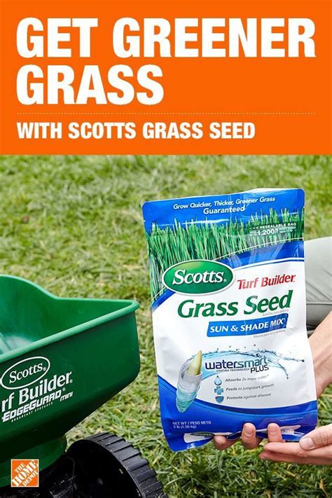 Get complete tips for how to make centipede grass thicker below. Grow thicker greener grass quicker with grass seed made to withstand extreme co | Grass seed ...