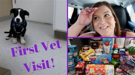 Aw, seeing the thumbnail and title i at first thought this was my puppy, and my husband had posted about the vet visit from last week. PUPPY'S FIRST VET VISIT! DITL | beingmommywithstyle - YouTube