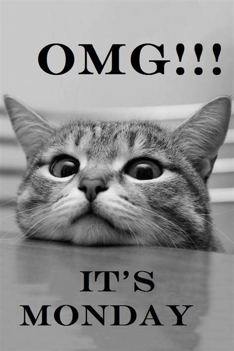Or m the day of the week that comes after sunday and before tuesday. OMG Its Monday Pictures, Photos, and Images for Facebook ...