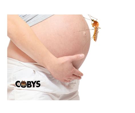 My 4 year old daughter had multiple bites on her ankles and i was determined to never let that happen again. Don't pregnant women in Pinellas County have enough to worry about, without this!?! | Coby's ...