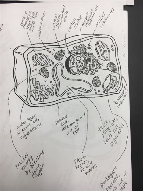 Bill nye videos circulatory system circulatory system part 2 circulatory system part 3 blood, circulation and atoms brainpop circulatory system circulatory system crossword gizmo. Science