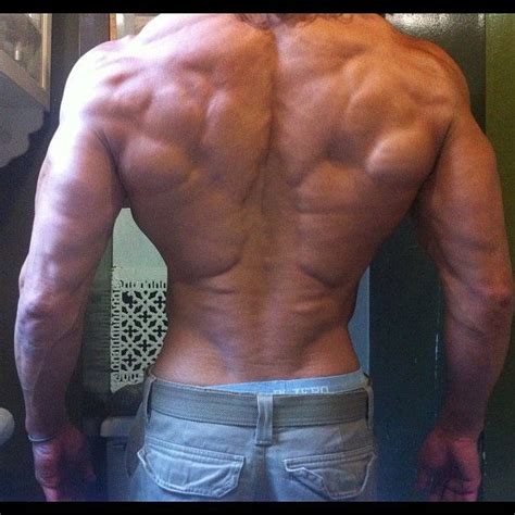 Back muscles are divided into two specific groups: 38 best images about side views & asses on Pinterest ...