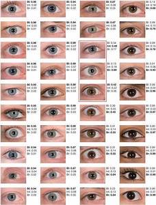 Image Result For Chart Of Human Hair And Eye Color Eye Color Facts