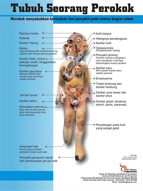 2.8 kesan penyalahgunaan dadah terhadap koordinasi badan dan kesihatan. NuSCA crEaTiOn: hidup sihat + peribadi mulia + pelajar ...