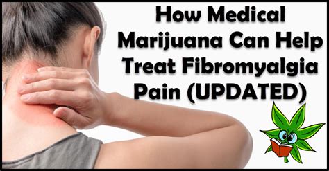 Some users call this one of the best tasting thc vape pens on the market. The 5 Best Strains for Fibromyalgia