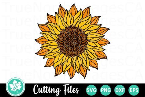 Welcome back crafters, i have been working on these cute paper sunflowers. Layered Sunflower - A Zentangle SVG Cut File (537943 ...