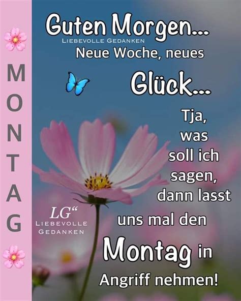 Segen zitate wünsche inspirierende zitate morgen montagmorgen zitate wochenstart zitate zum thema morgen quotes arabic guten morgen gruss sprüche. Pin auf Wochentage