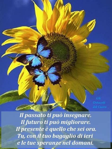 Trova immagini stock hd a tema buongiorno e milioni di altre foto, illustrazioni e contenuti vettoriali stock royalty free nella vasta raccolta di shutterstock. Dalla pagina Facebook "Gli ostacoli del cuore" | Girasoli ...