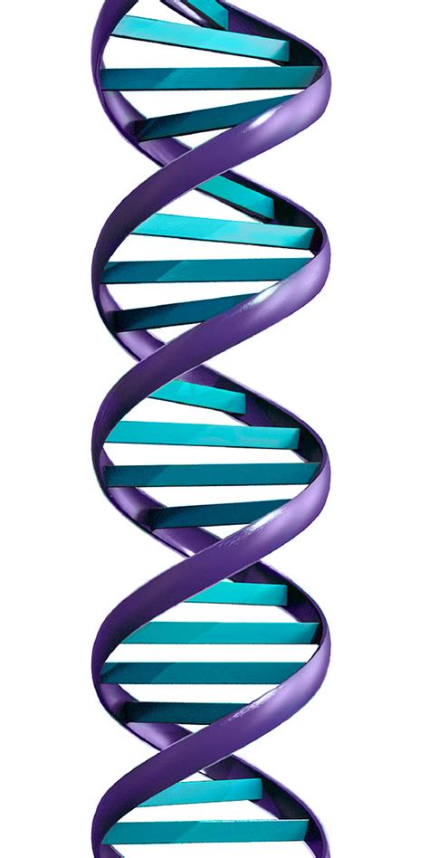 Cdna bibliothek wird auf agarplatte gegeben zum wachsen —> jede kolonie repräsentiert eine mrna in einer zelle 2. Die DNA: Bibliothek des Lebens — Wachtturm ONLINE-BIBLIOTHEK