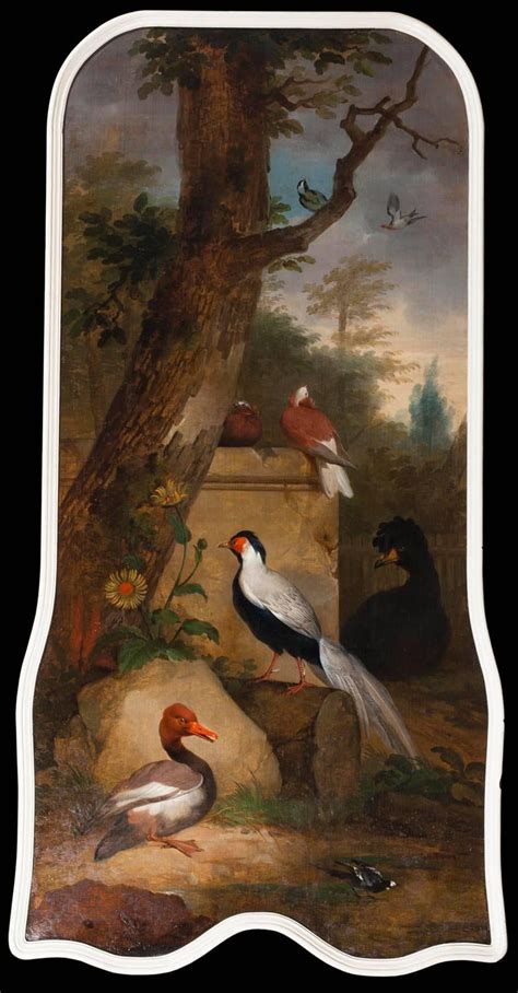 He speaks more of the specific elements of different animals; Aert Schouman - Extraordinary 18th Century Oil Painting of Ornamental Birds in a Landscape ...