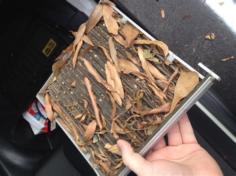 Maybe you would like to learn more about one of these? So I checked the cabin air filter...... - Toyota FJ ...