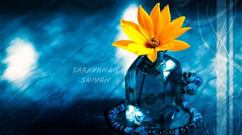 Check spelling or type a new query. Lord siva lingam ☮ | Flower wallpaper, Art wallpaper, Lord shiva hd wallpaper