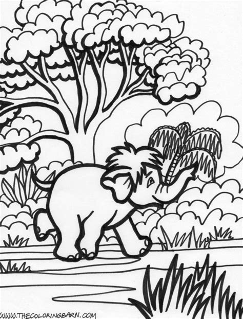 Color in and learn more about your favorite rainforest birds, mammals, reptiles and plants. Rainforest Coloring Sheet - Coloring Home