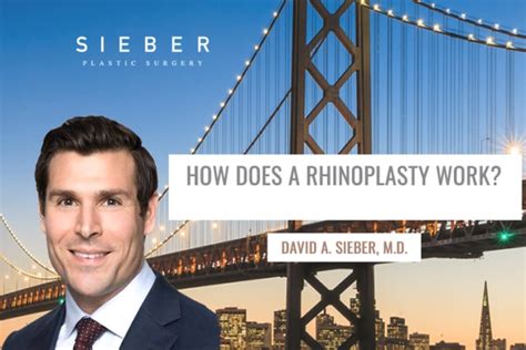 Health & beauty write a review to this product. How Does a Rhinoplasty Work? | Sieber Plastic Surgery