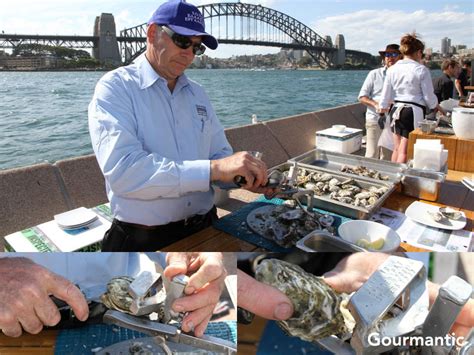 Will cryptocurrencies be the alternative mode of payment for online shopping? Sydney Rock Oysters, Pacific and Angasi