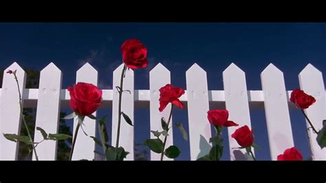 Brad dourif, dennis hopper, isabella rossellini and others. Blue Velvet (1986) Opening Scene Clip #1 HD - YouTube