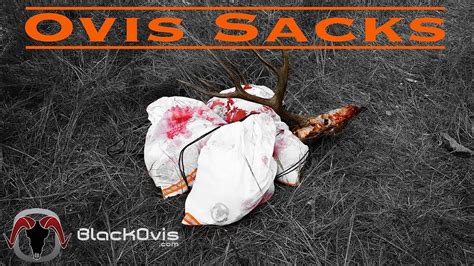 Helped my brother in law with his bull and let. Ovis Sacks - Game Bag Review - YouTube
