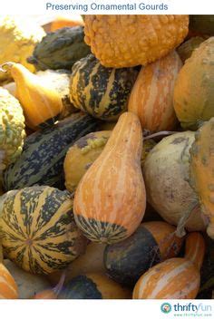 You're getting that information from the wiki, right? Drying and cleaning gourds for for painting or crafting ...