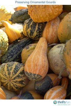 You're getting that information from the wiki, right? Drying and cleaning gourds for for painting or crafting ...