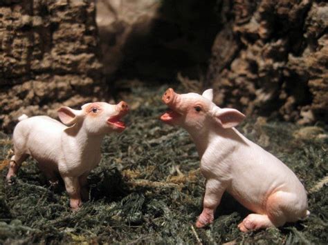 The easiest way to make the most your. Details about Safari Piglet Animal Figurines Set /2 ...