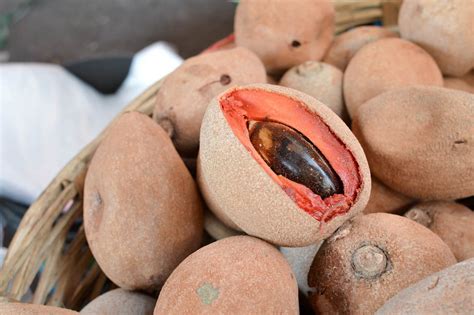 The fruit of the mamey sapote is sweet and similar in taste to sweet potato or pumpkin seasoned with chocolate and almond flavoring. 15 Wonderful Mamey Fruit Health Benefits - Healthy Huemans