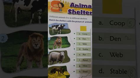 A sample menu can be viewed on page 17. Animals Shelters - YouTube