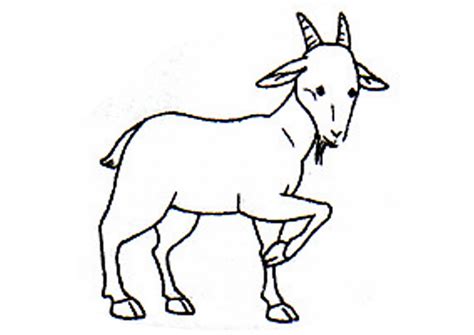 Check spelling or type a new query. Terpopuler 37+ Gambar KartunLembu, Gambar Kartun Berpeci