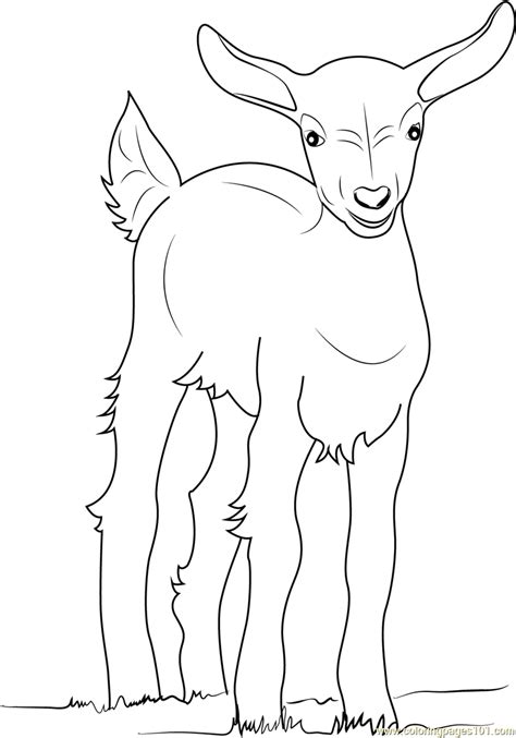 Image result for baby goat coloring pages farm animal. Baby Goat Coloring Page for Kids - Free Goat Printable ...