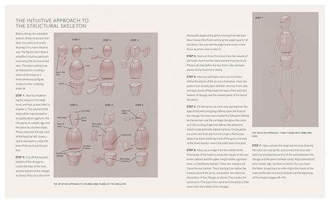 Ct, mri, radiographs, anatomic diagrams. Basic Human Anatomy - Roberto Osti