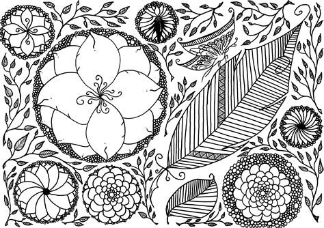 Draw the details coloring pages. Spring Coloring Pages for Adults Activity | 101 Worksheets